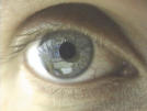 eye.jpg